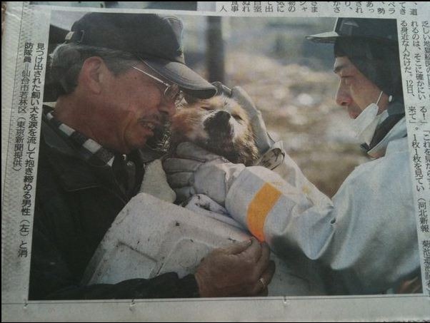 [Dog Rescued in Japan[3].jpg]