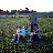 20030622 Shoreline Park Kite Flying - 19