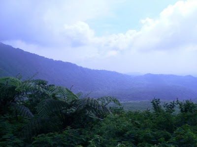 thebluemountain.jpg