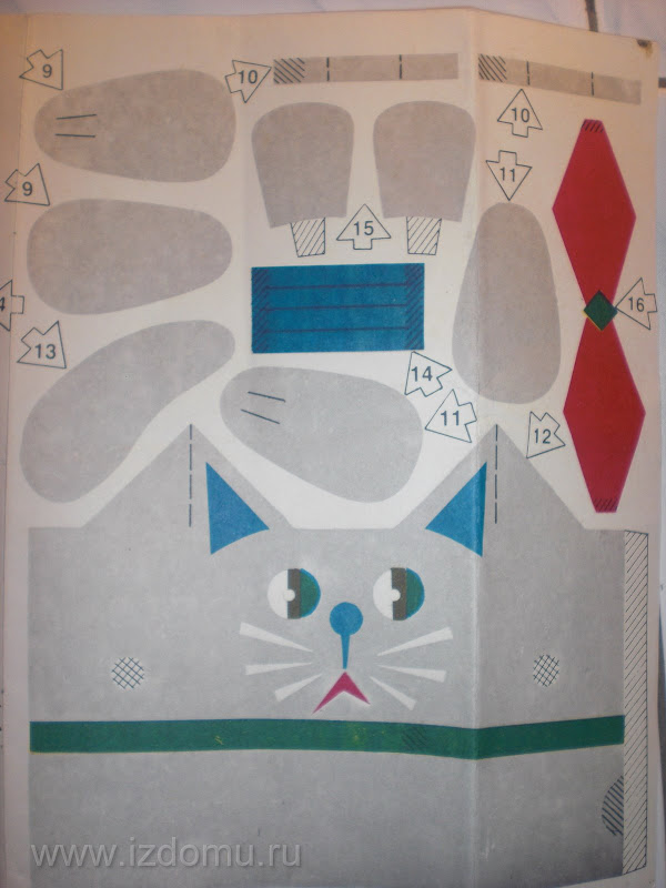 котик
