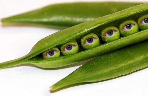 [Black-Eyed-Peas[3].jpg]
