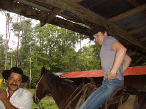 coe.horse.jpg