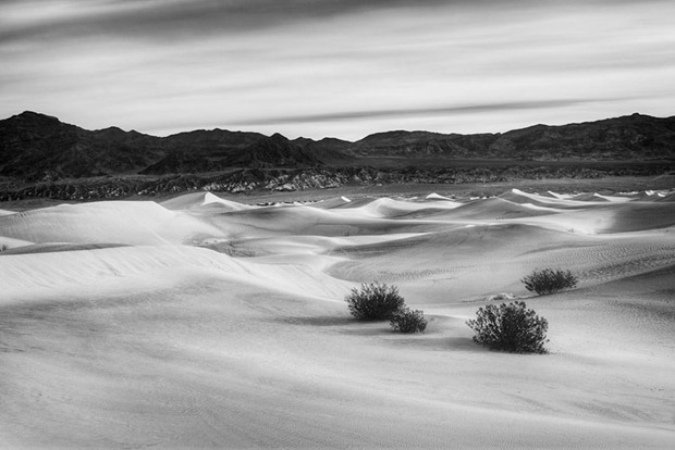 black-and-white-nature-photography-desert