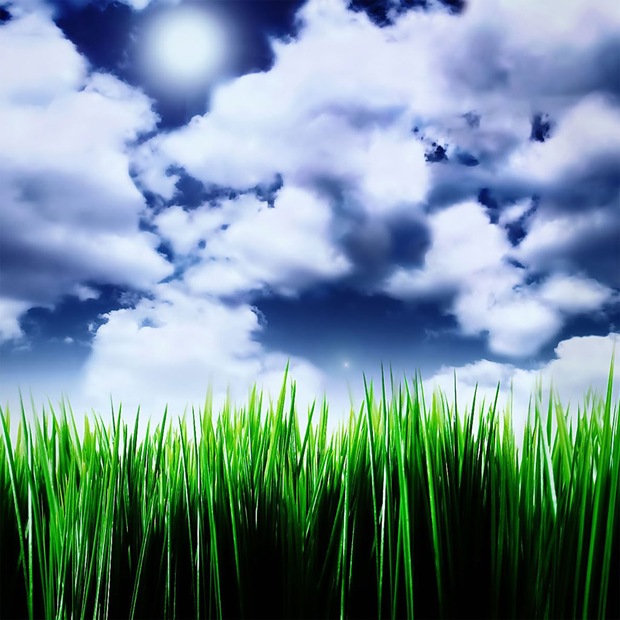 Illustrated Grass under the blue sky. Wallpaper for ipad