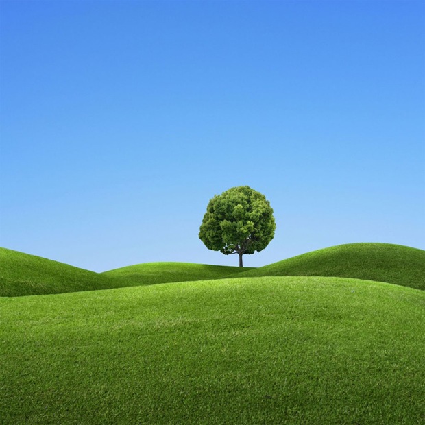 Fantasy-green-filed-ipad-wallpaper Fantasy-green-filed-ipad-wallpaper