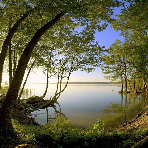 [22Greenlandscapeipadwallpaper1.jpg]