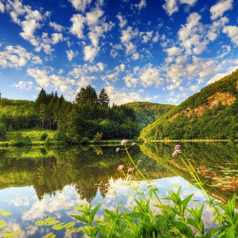 [24Greenlandscapeipadwallpaper1.jpg]