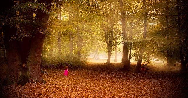 [Bestphotographyoftheweek2.jpg]