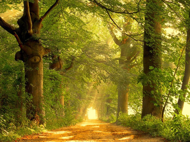 Fall-colors-photos-road