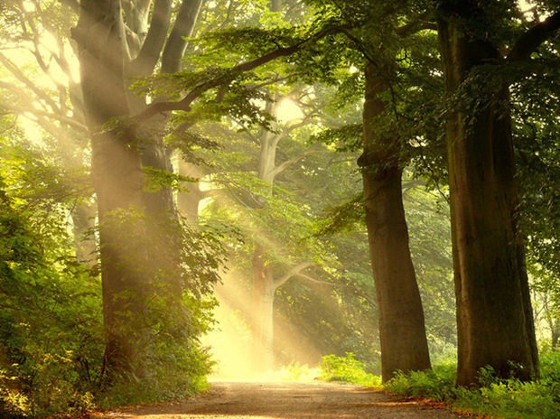 -Photos-of-fall -Photos-of-fall