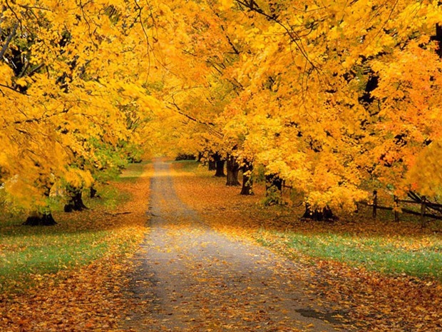 Fall-colors-photos Fall-colors-photos