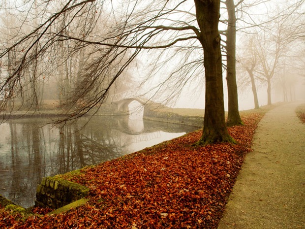 Photos-of-fall Photos-of-fall