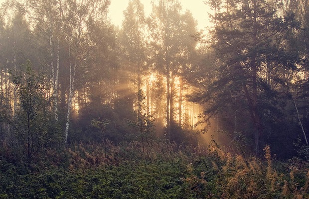 Autumn-nature-photography Autumn-nature-photography