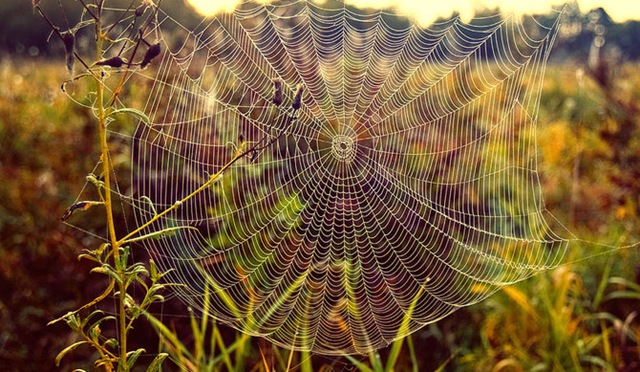 [21Fallphotography2.jpg]