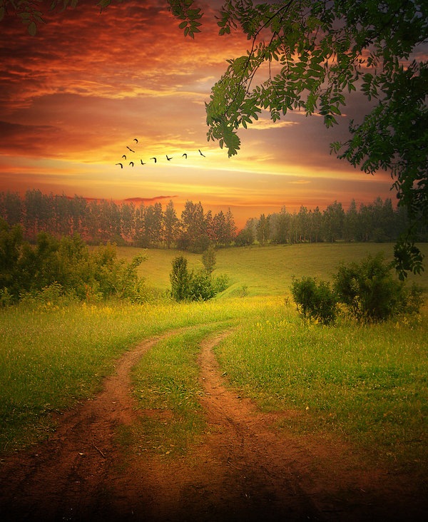 Landscape Photo-manipulation-photoshop Landscape Photo-manipulation-photoshop