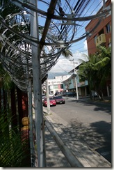 P1020104