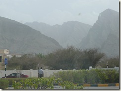 P1020581