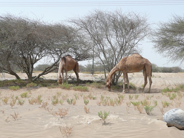 [P10205282.jpg]
