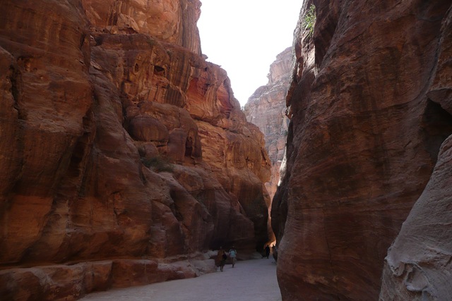 [P1020738[2].jpg]