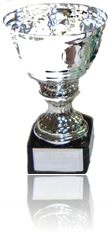 La Copa Delegación 2010.