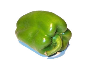 Diapositiva11.JPG