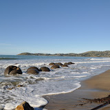 DSC_0231.JPG