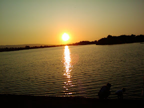 2009-08-09 19.48.16.jpg