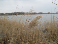 IMG_0199.JPG