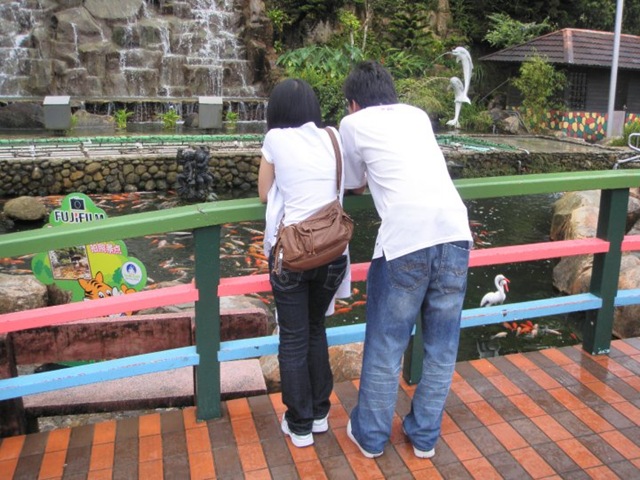 [27793_1447511229236_1276839475_1258577_3377840_n[3].jpg]