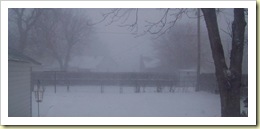 during the storm 2