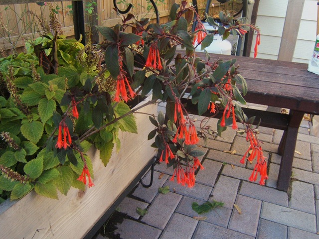[2008_1027image0010[2].jpg]
