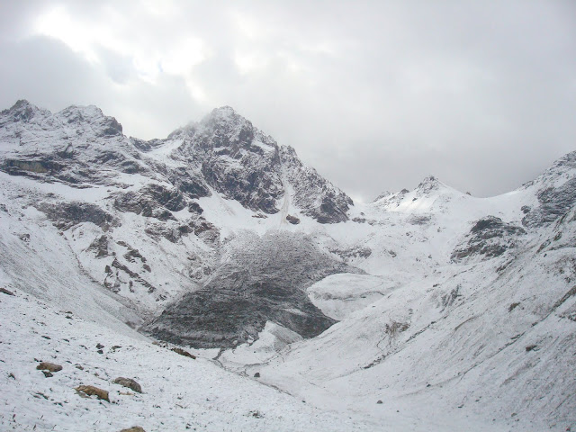 DSC06750.JPG