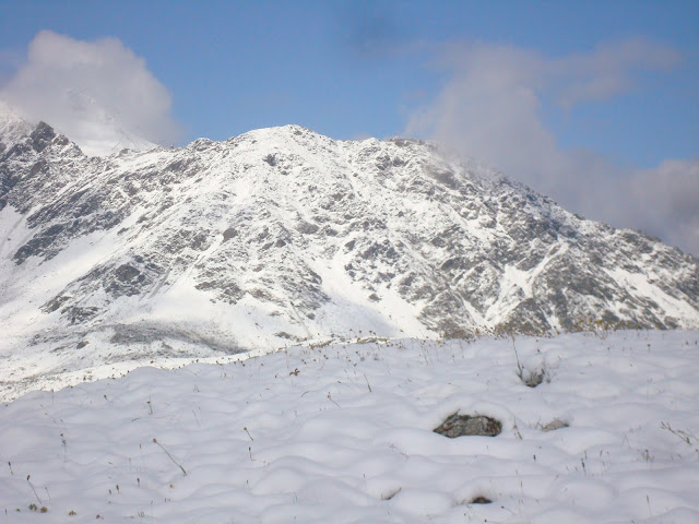 DSC06758.JPG