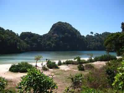 segara anakan 2