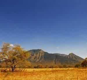 Baluran National Park, Africa in Indonesia.