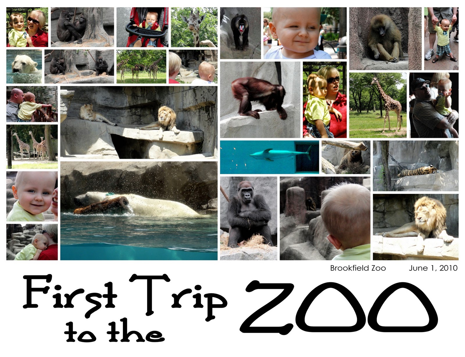 [FirstTriptotheZooJune120105.jpg]