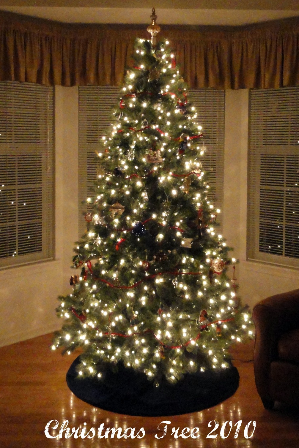 [Christmas Tree 2010[7].jpg]