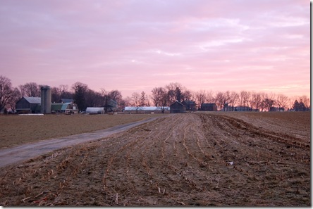 DSC_0250
