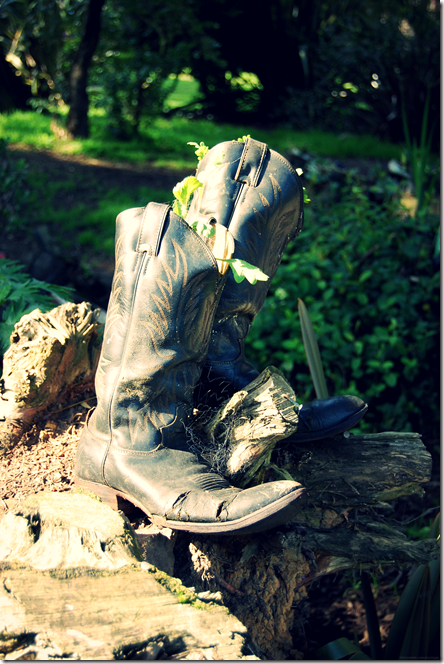 DSC_0020.JPG_effected