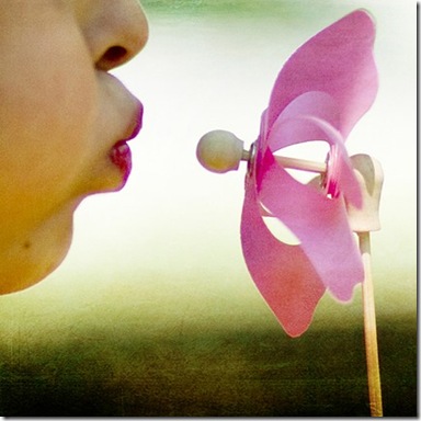 pinwheel.ClaireWise.etsy