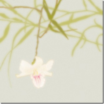 OrchidBranch.hermanyu.com