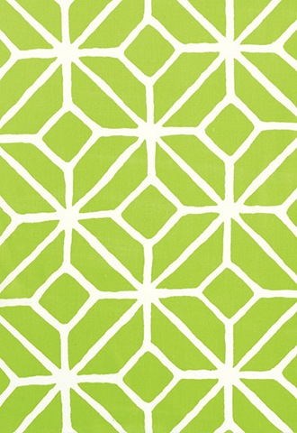 [trellisapple.trinaturkschumacherfabric[3].jpg]