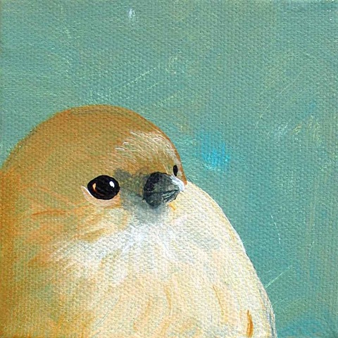 [itIsFollyToAssumemyawesomeliesdormant.mincingmockingbird[3].jpg]