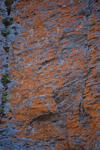 [DSC_0139_2[3].jpg]