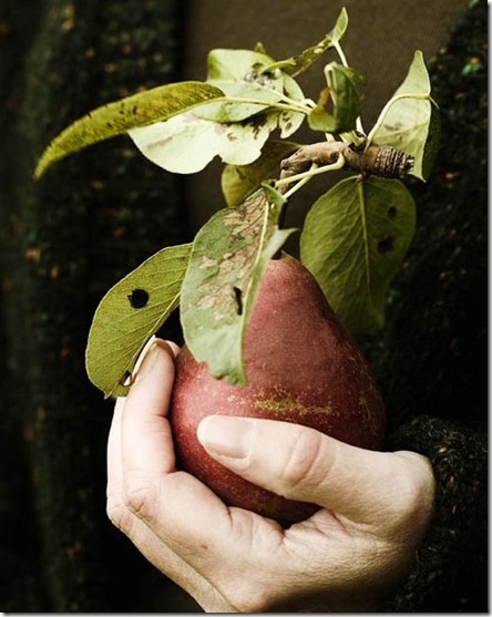 Lerkenfeldt Photography_ Food & living-1