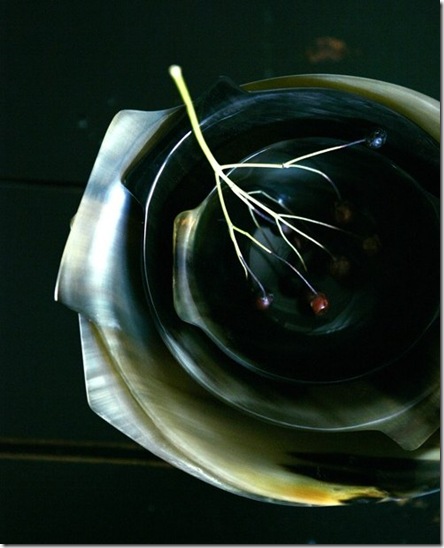 Lerkenfeldt Photography_ Still