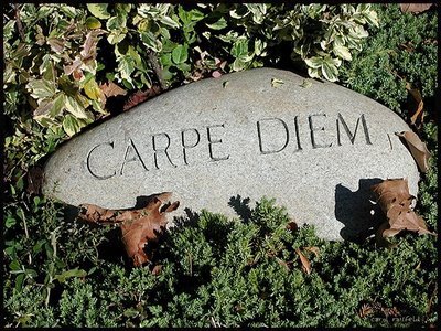[carpediem.jpg]