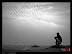 DSC05415a.jpg