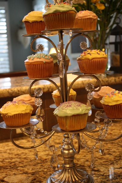 Cupcakes 049