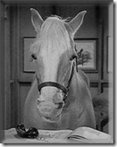 Mr.Ed.Courtesy Baltimore Sun